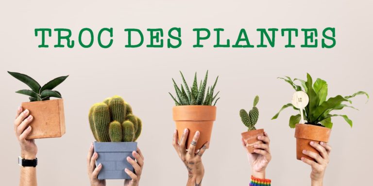 Lire la suite à propos de l’article Troc de plantes 2025